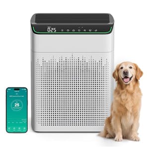 Large Room Air Purifier