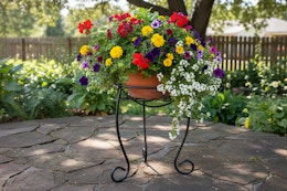 lowes steel plant stand