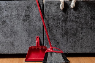 a red broom against the back of a couch with two dogs