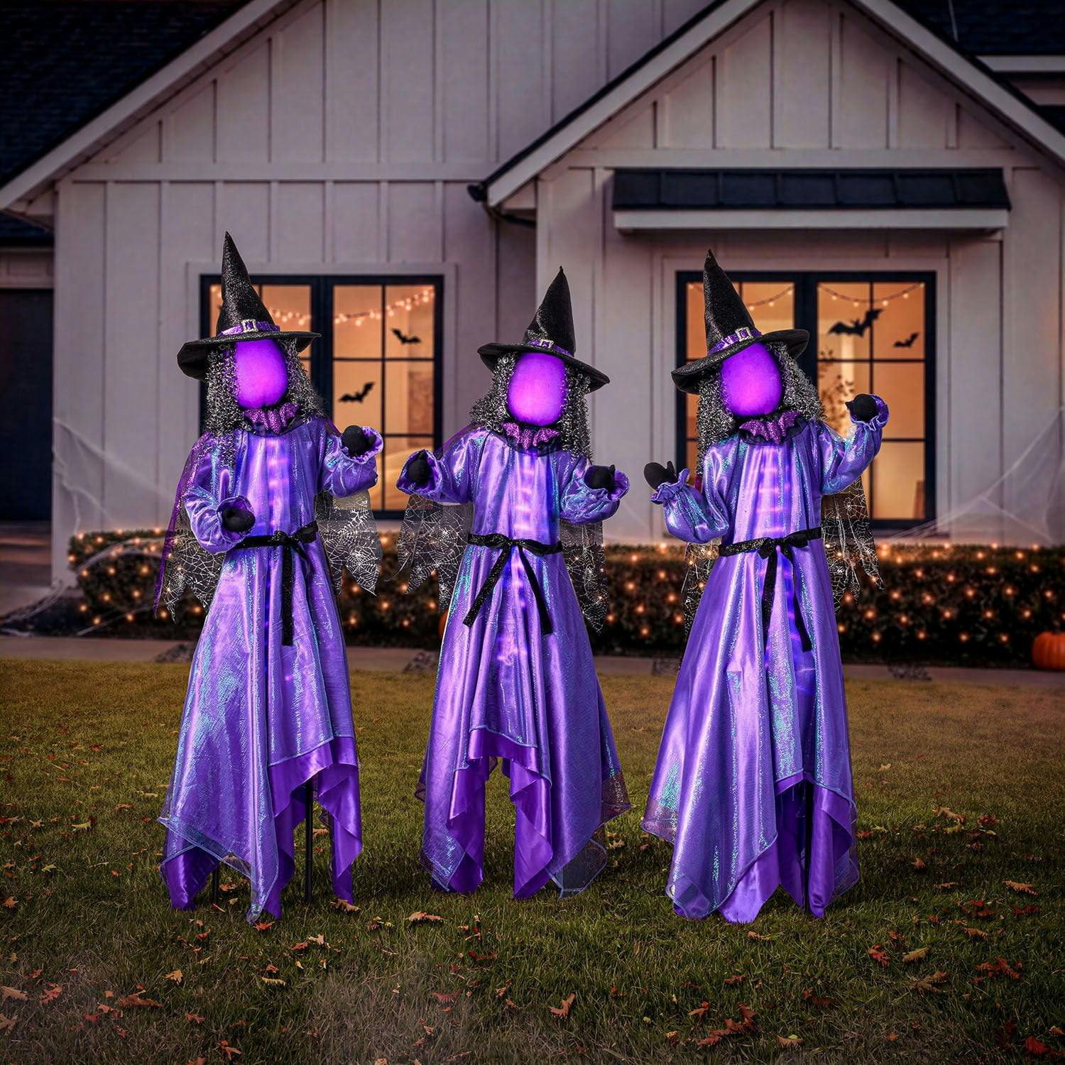 Member's Mark Animated Witches Set
