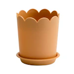 Plant Pots