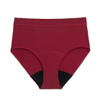 Thinx Women's Period Briefs