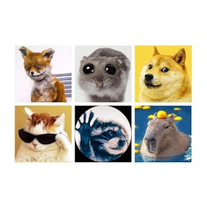 Diamond Painting Kits 6-Pack