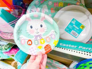 dollar general small easter plates clearance