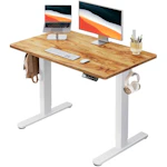 Electric Standing Desk