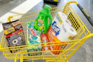 products in a Dollar General shopping cart