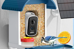 a bird using a bird feeder