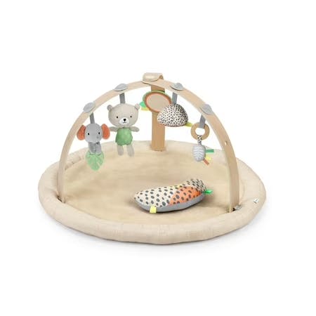 Ingenuity Baby Play Gym