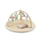 Ingenuity Baby Play Gym