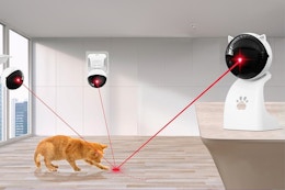 Interactive Laser Pointer Cat Toy, $14 on Amazon card image