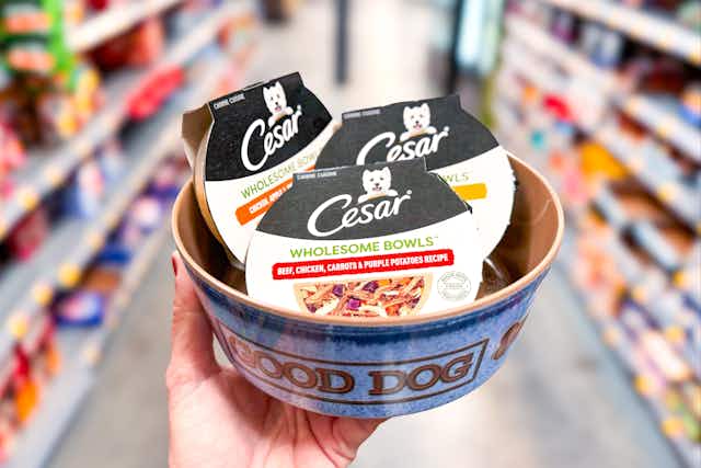 Score Five Cesar Wholesome Bowls at Walmart for Just $5 (Reg. $12) card image