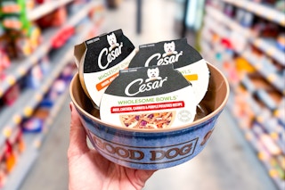 Three Cesar Wholesome Bowls in dog food bowl at Walmart