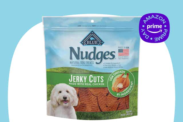 Blue Buffalo Nudges Dog Treats, as Low as $7.67 on Amazon (Save 53%) card image