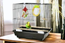 Lifestyle image of a bird cage starter kit in home setting