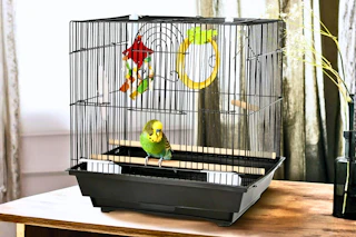 Lifestyle image of a bird cage starter kit in home setting