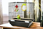 Lifestyle image of a bird cage starter kit in home setting