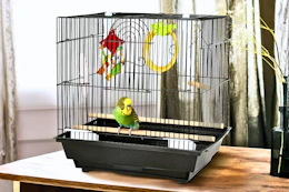 Lifestyle image of a bird cage starter kit in home setting