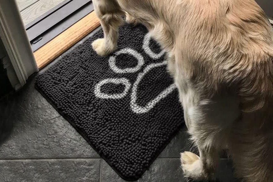 a dog on a doormat