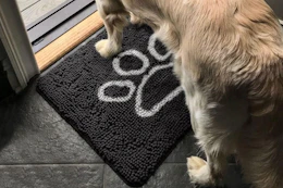 a dog on a doormat