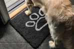 a dog on a doormat
