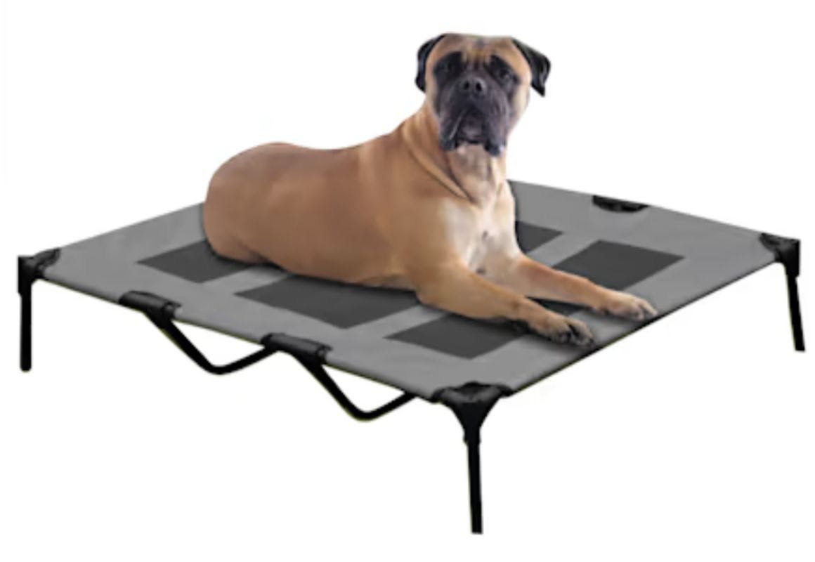 Solar Tech Elevated Pet Cot