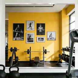 Home Gym Mirror