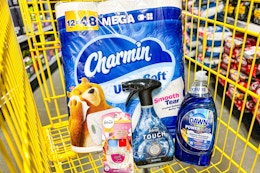 Save $19 on $31.85 Worth of Charmin, Dawn, and Febreze at Dollar General card image