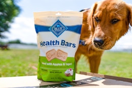 blue buffalo dog treats