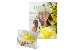 Walgreens Photo Metal Panel