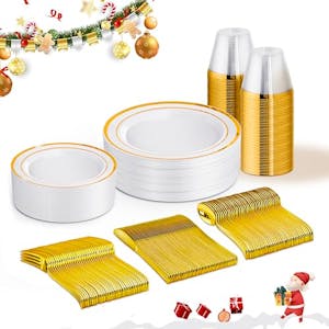 Disposable Dinnerware Set for 25 Guests