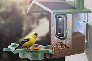 smart bird feeder