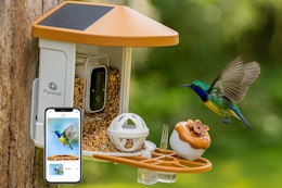 Camera Bird Feeder, Only $39.99 on Amazon (Reg. $100) card image
