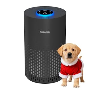 Cobectal Air Purifier