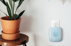 HoMedics Set of 2 Wall Outlet UVC Air Purifiers, Just $40 at QVC card image