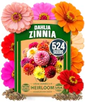 Zinnia Dahlia Seeds