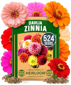 Zinnia Dahlia Seeds Pack