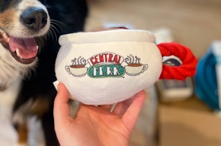 kcl favorite amazon pet finds central perk dog toy friends 1652061608 1652061608