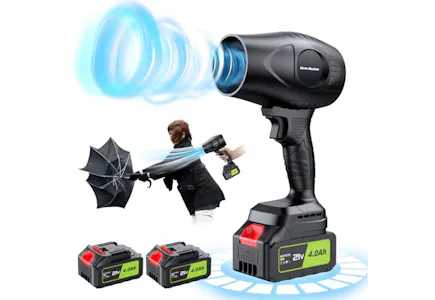 Portable Leaf Blower