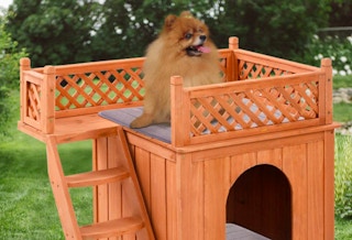 wooden dog house outside