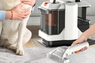 a carpet cleaner cleaning a rug next to a dog