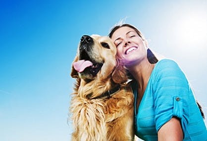 How to Save on Pet Prescriptions