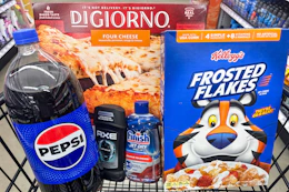 dollar general grocers in shopping cart