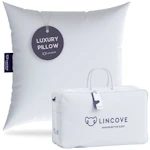 Euro Down Pillow