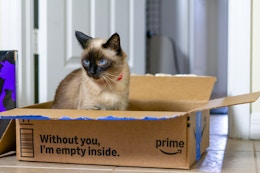 Amazon Pet Day Is Back: Up to 77% Off Toys, Treats, Pet Beds, and More card image