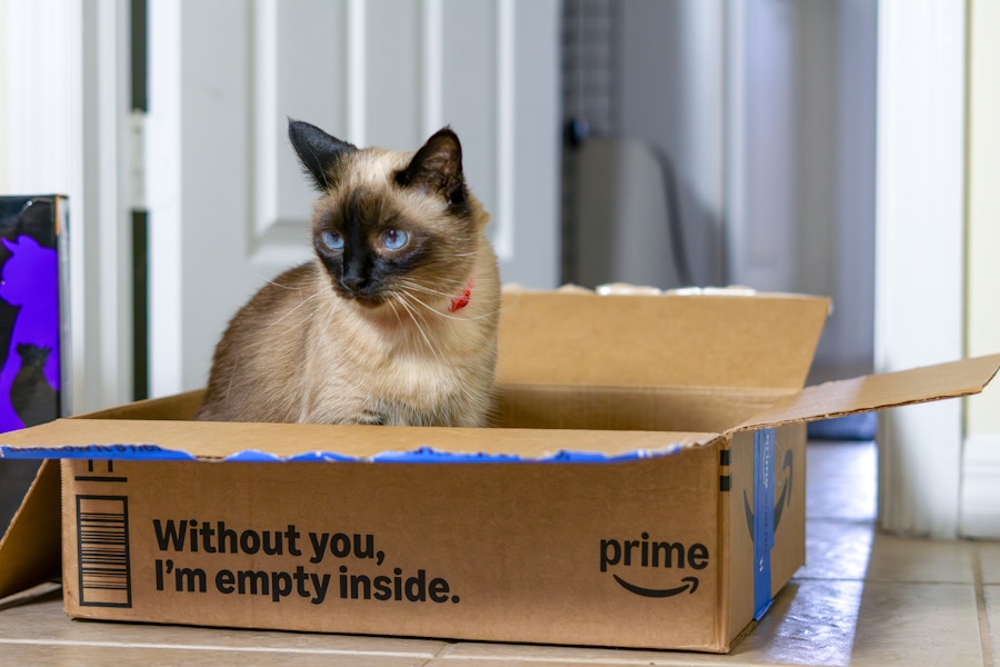 amazon-pet-days-prime-box-cat-kitty-pet-deals-litter-food-toys-artemis-kcl-2