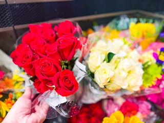 publix-dozen-roses-1