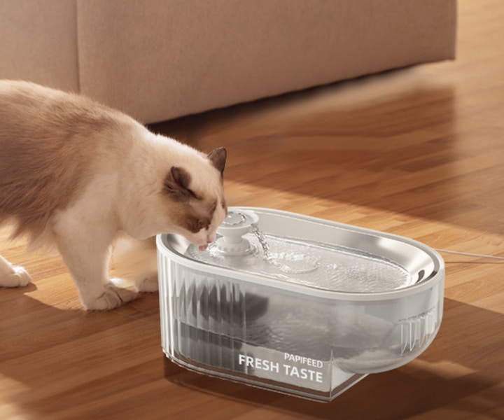 Amazon Pet Water Fountain 2025