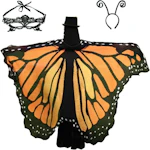 Adult Butterfly Costume Wings Set