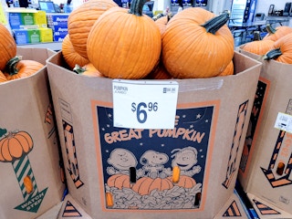 sams-club-jumbo-pumpkin-1