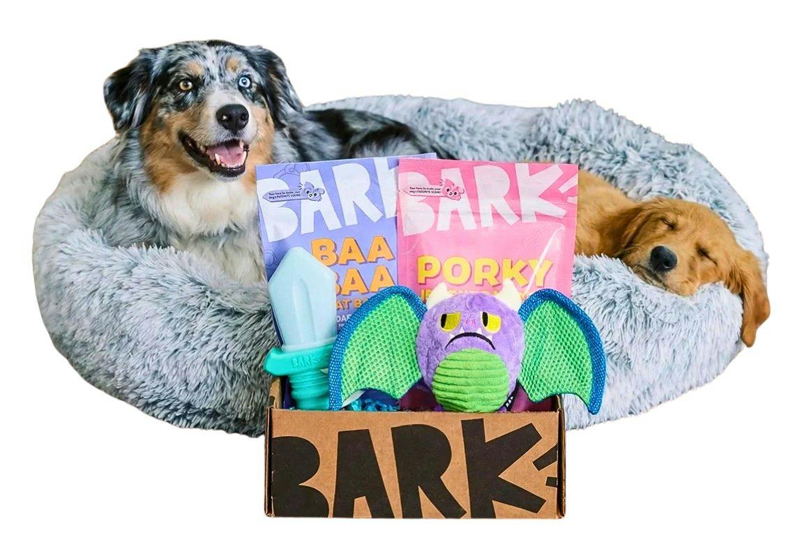 BarkBox + Free Bed and Chews 